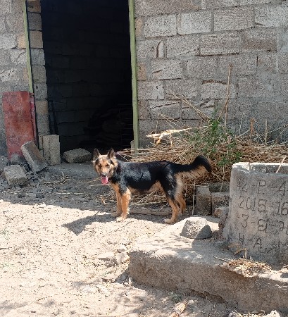 થંબનેલ 2