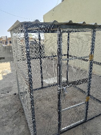 થંબનેલ 2