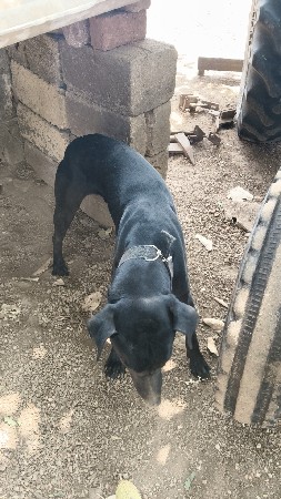 થંબનેલ 2