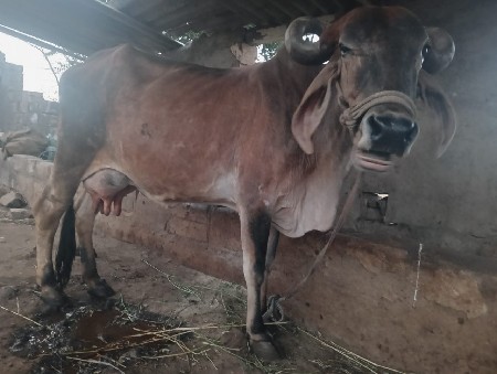 थंबनेल 3