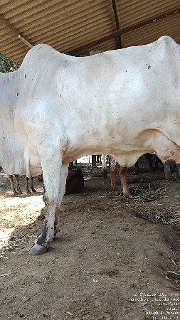 थंबनेल 3