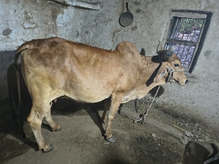 थंबनेल 3