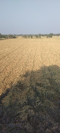 વેચવાની છે