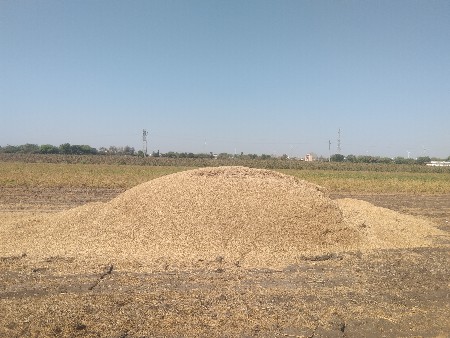 3 નંબર ચણા નુ ખારયુ