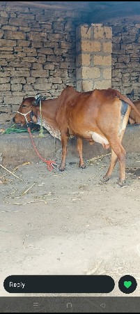 થંબનેલ 5