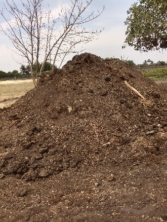 છાણીયું ખાતર