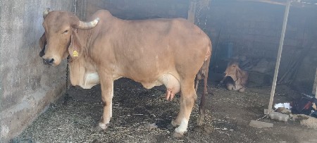 ૭૦૧૬૪૨૪૮૨૩