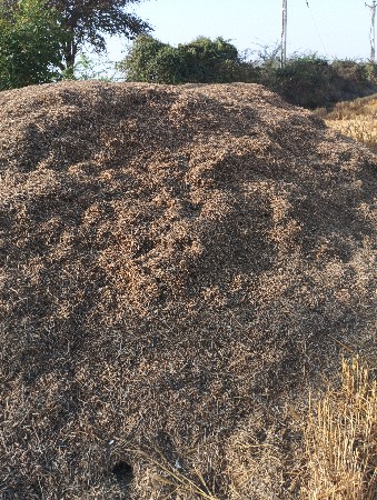 ભૂકો વેસવાનો છે