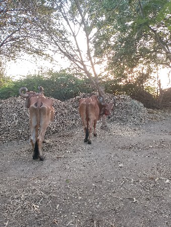 થંબનેલ 3