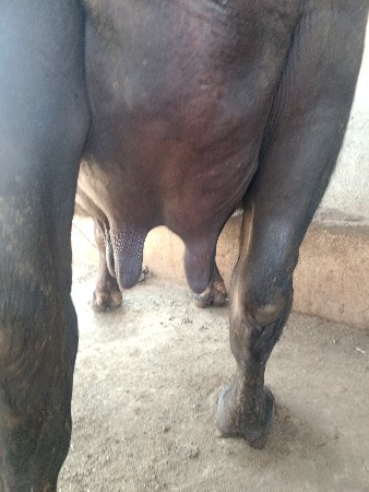 थंबनेल 3