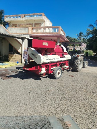 માનો કેસર છે