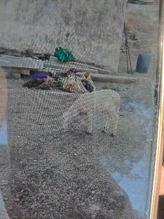 થંબનેલ 2