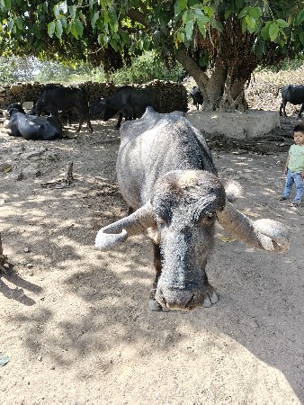 थंबनेल 2