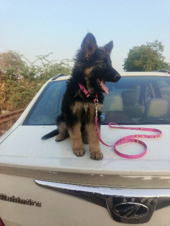 थंबनेल 3