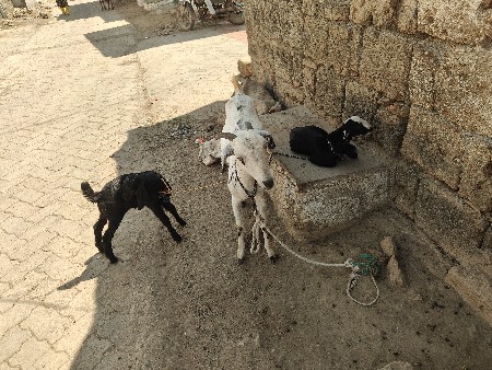 थंबनेल 3