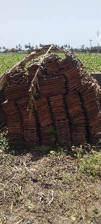 થંબનેલ 3