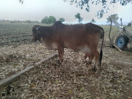 थंबनेल 3