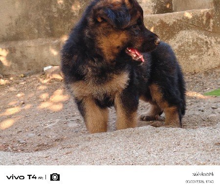 थंबनेल 2