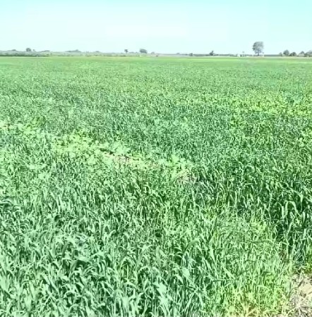 જમીન વેચવાની છે 10 વિદ્યા