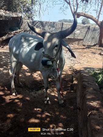 थंबनेल 2