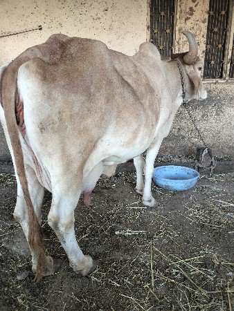 थंबनेल 3