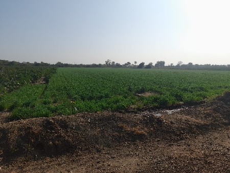 જમીન વેચવાની છે