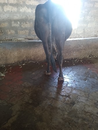 થંબનેલ 6