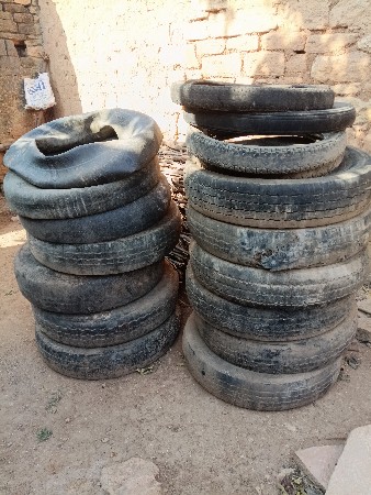 Bareeya Tina bhai M.