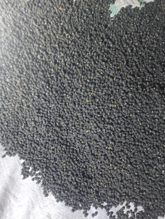 નિર્મલ અડદ નુ બિયારણ વેસવાનુંસે