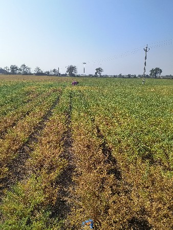 ભાગ્યા જોઈએ છે