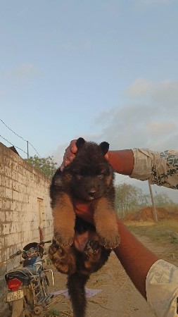 થંબનેલ 2