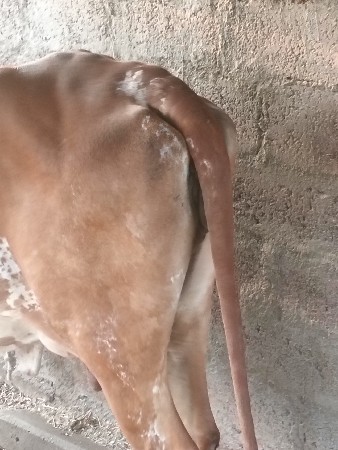 थंबनेल 3