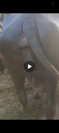 બીજા વેતરની ખડાઈ વેચવાની છે