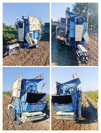 જયંત થેસર વેચવા નું છે