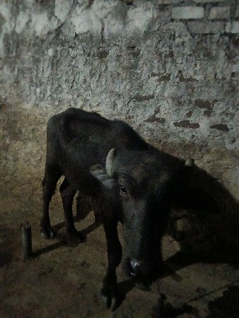 થંબનેલ 3