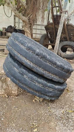 થંબનેલ 3