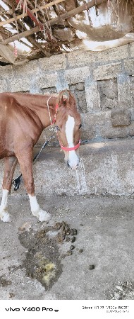 થંબનેલ 2