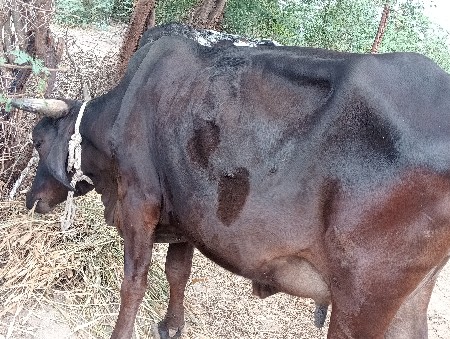 थंबनेल 3