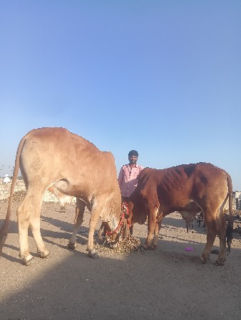 थंबनेल 2