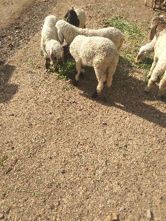 थंबनेल 2