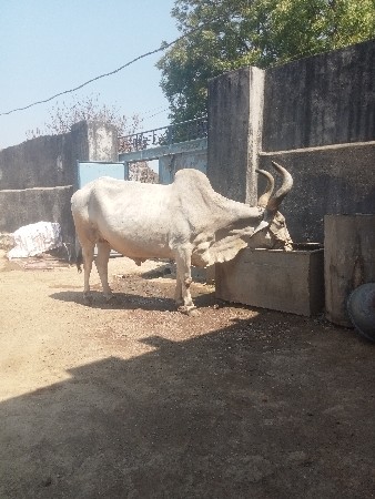 थंबनेल 3