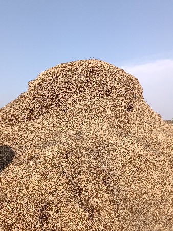 મગોટુ વેચવાનું છે