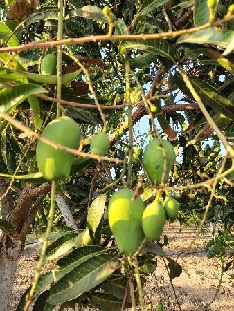 थंबनेल 2