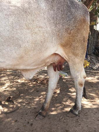 થંબનેલ 2