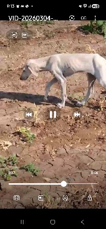 થંબનેલ 3