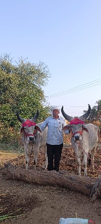 થંબનેલ 2