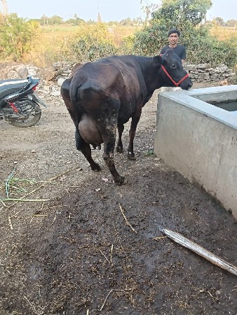 थंबनेल 3