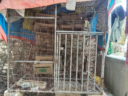 પંજારું વેસવાનુંસે 4×4 નુસે