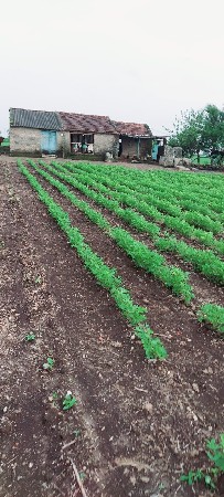 ભાગીયુ દેવાનુ છે