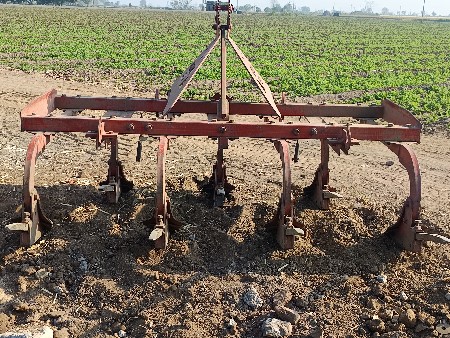 થંબનેલ 2